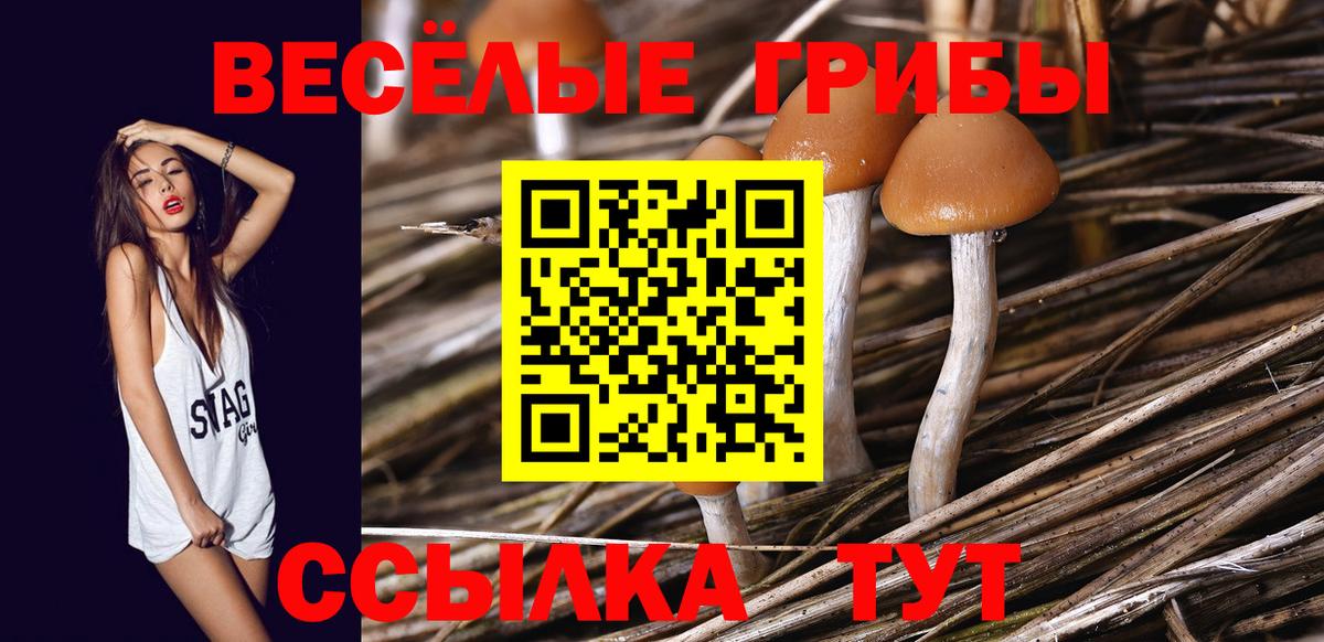 Псилоцибиновые грибы Psilocybe  Галлюциногенные грибы Psilocybe  купить закладку  Железноводск  Вход с VPN 